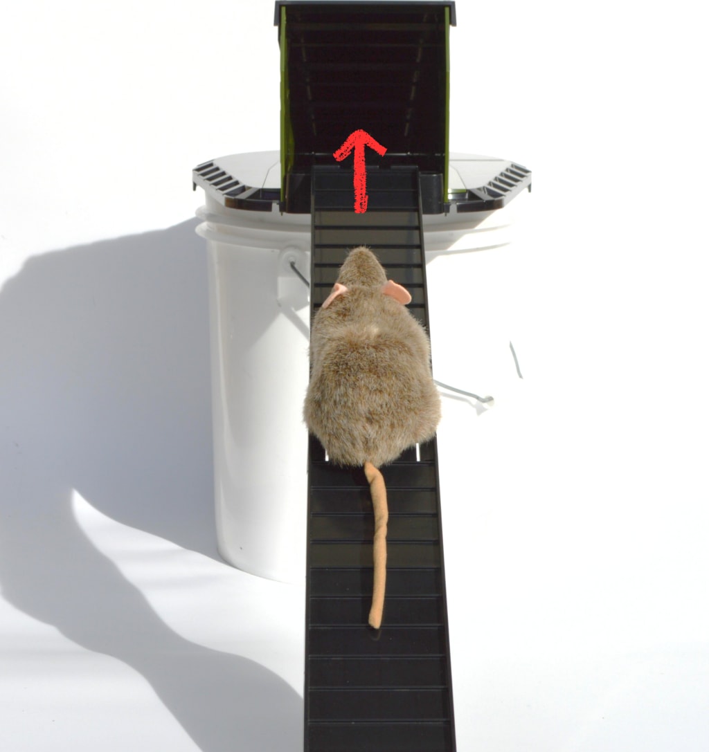 Pest Blocker™