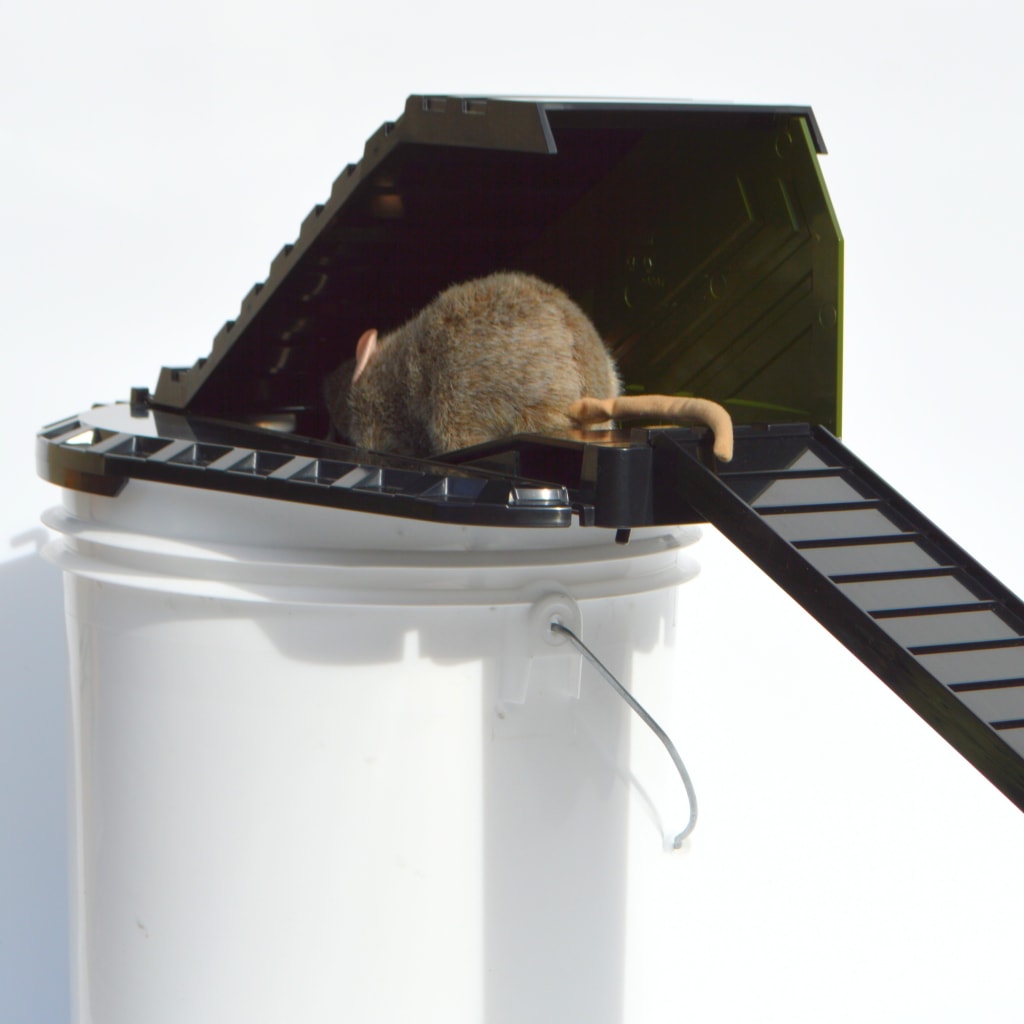Pest Blocker™