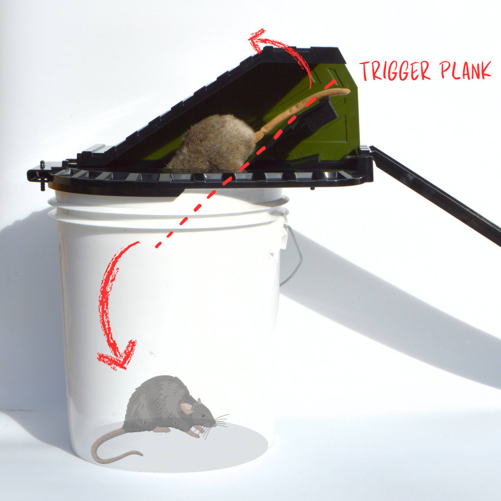 Pest Blocker™